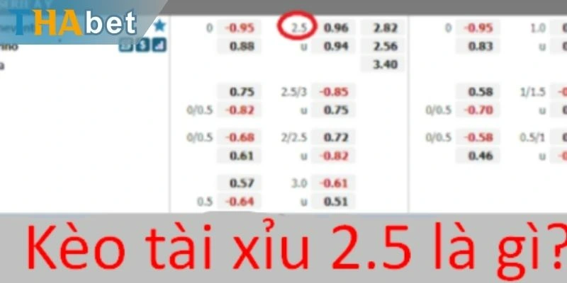 Giới thiệu kèo tài xỉu 2.5