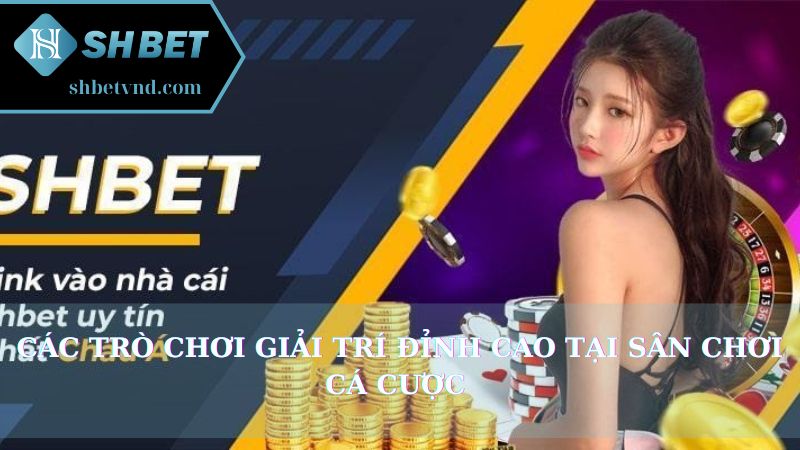 Các trò chơi giải trí đỉnh cao tại sân chơi cá cược